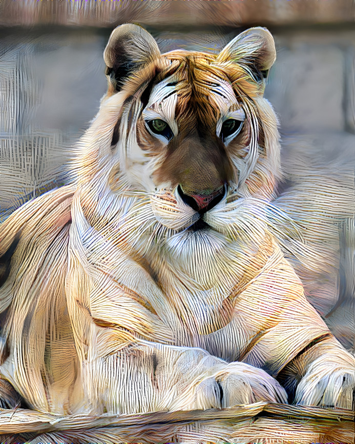 Golden tiger