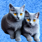 Stylized grey cats with yellow eyes on blue background