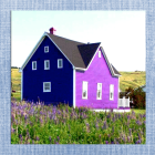 Whimsical houses and gardens under blue sky with fluffy clouds