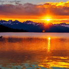 Majestic bird flying over tranquil lake at sunset