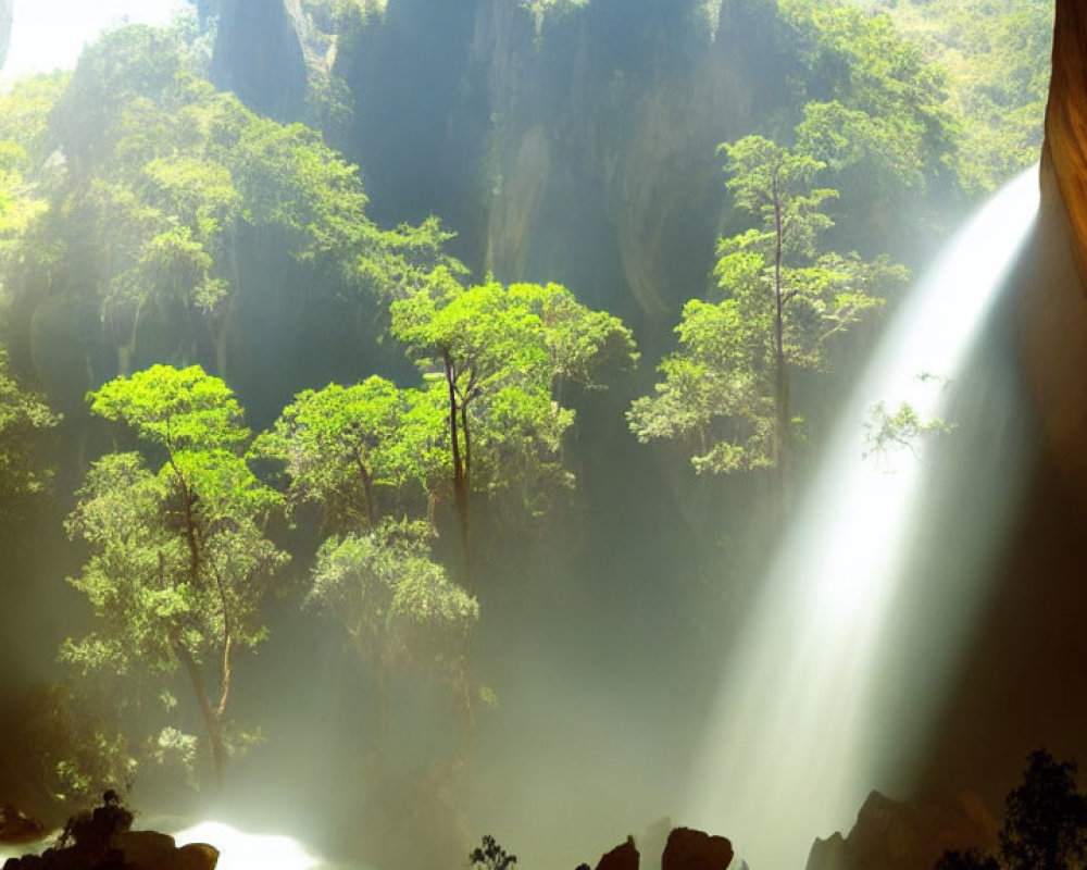 Sunlit Cave Opening Overlooking Lush Forest