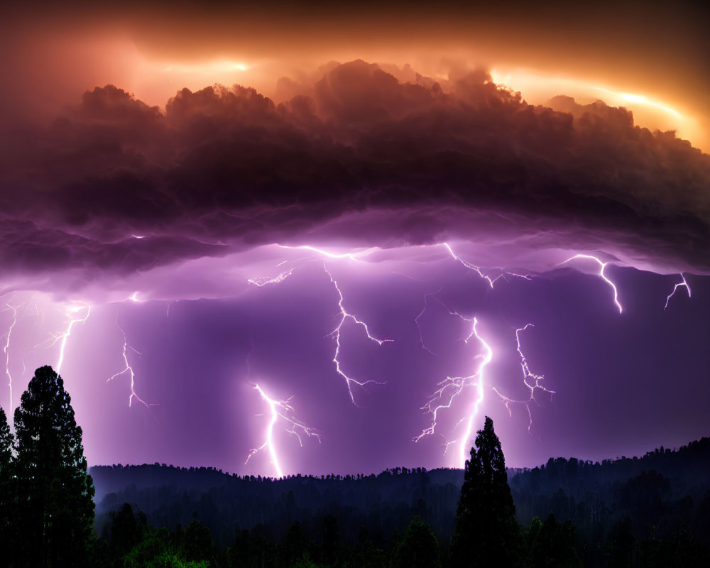 Intense lightning strikes in dramatic forest storm