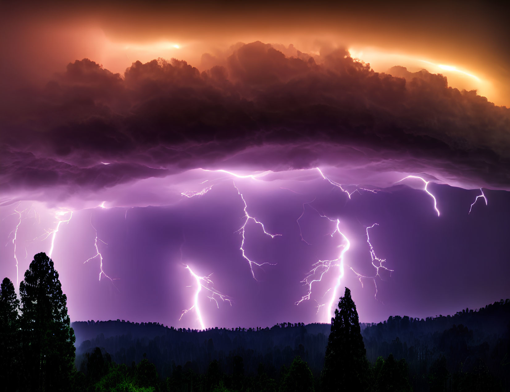 Intense lightning strikes in dramatic forest storm