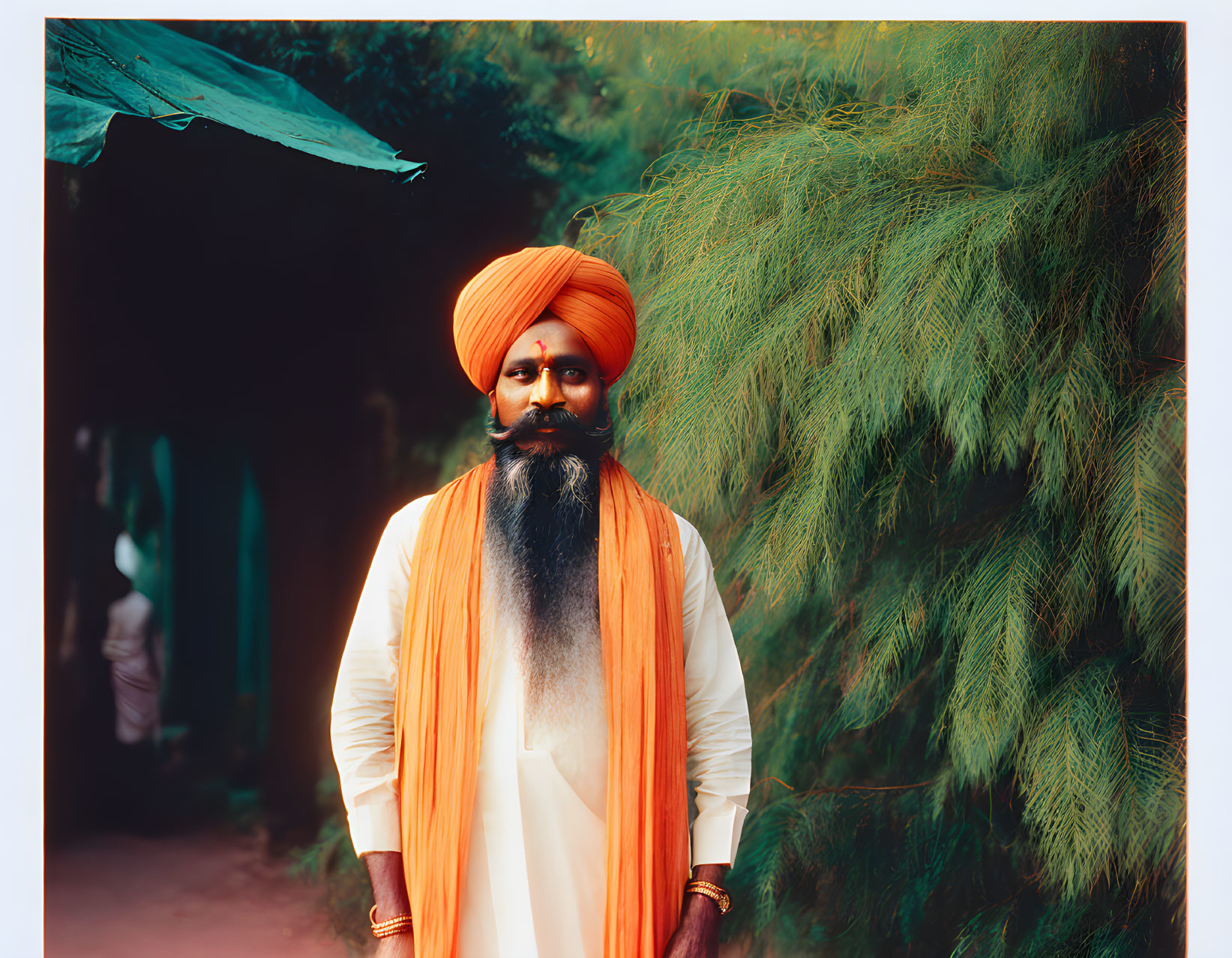 Man with Turban and Beard in Orange and White Outfit Against Greenery