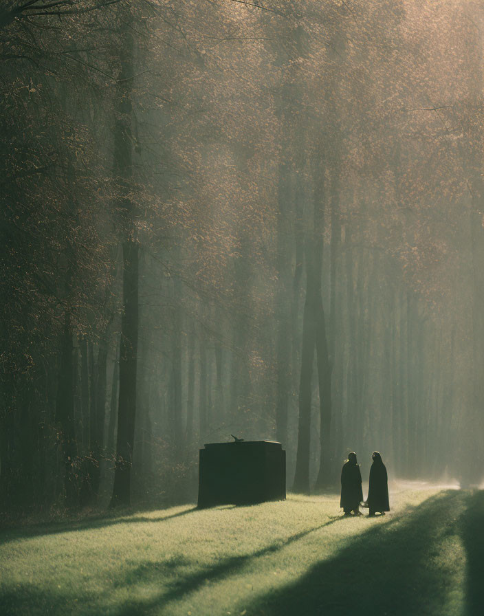 Two individuals and a dog near a small structure in a misty forest with sunbeams.