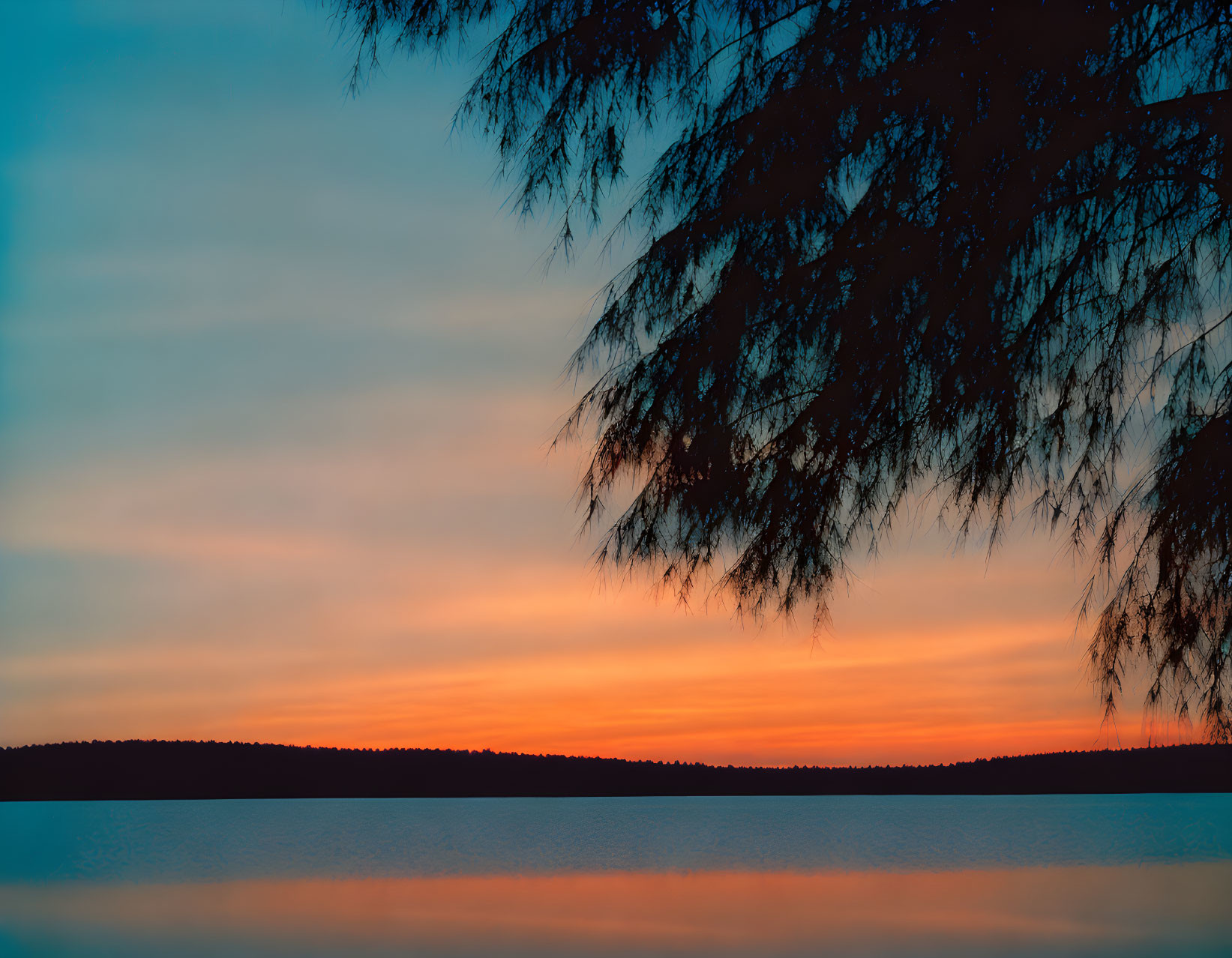 Tranquil lake sunset with tree branch silhouettes