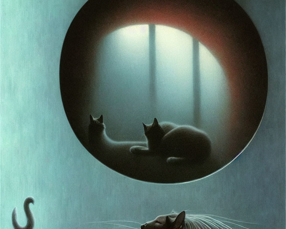 Two Cats Resting on Window Sill in Circular Frame, Observed by Another Cat