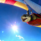 Colorful Turtle Design Parachute Paragliding in Bright Blue Sky