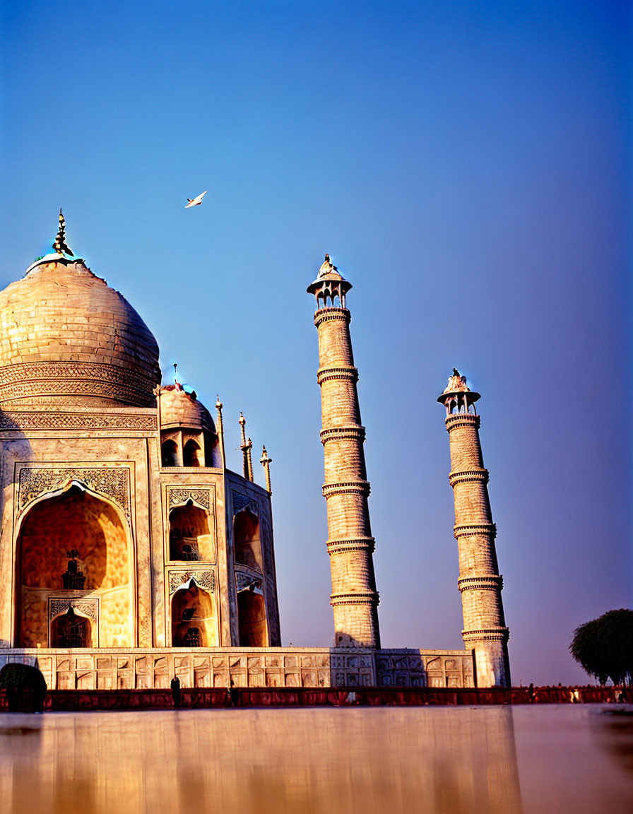 Iconic Taj Mahal dome and minarets under clear blue sky with bird and water reflections