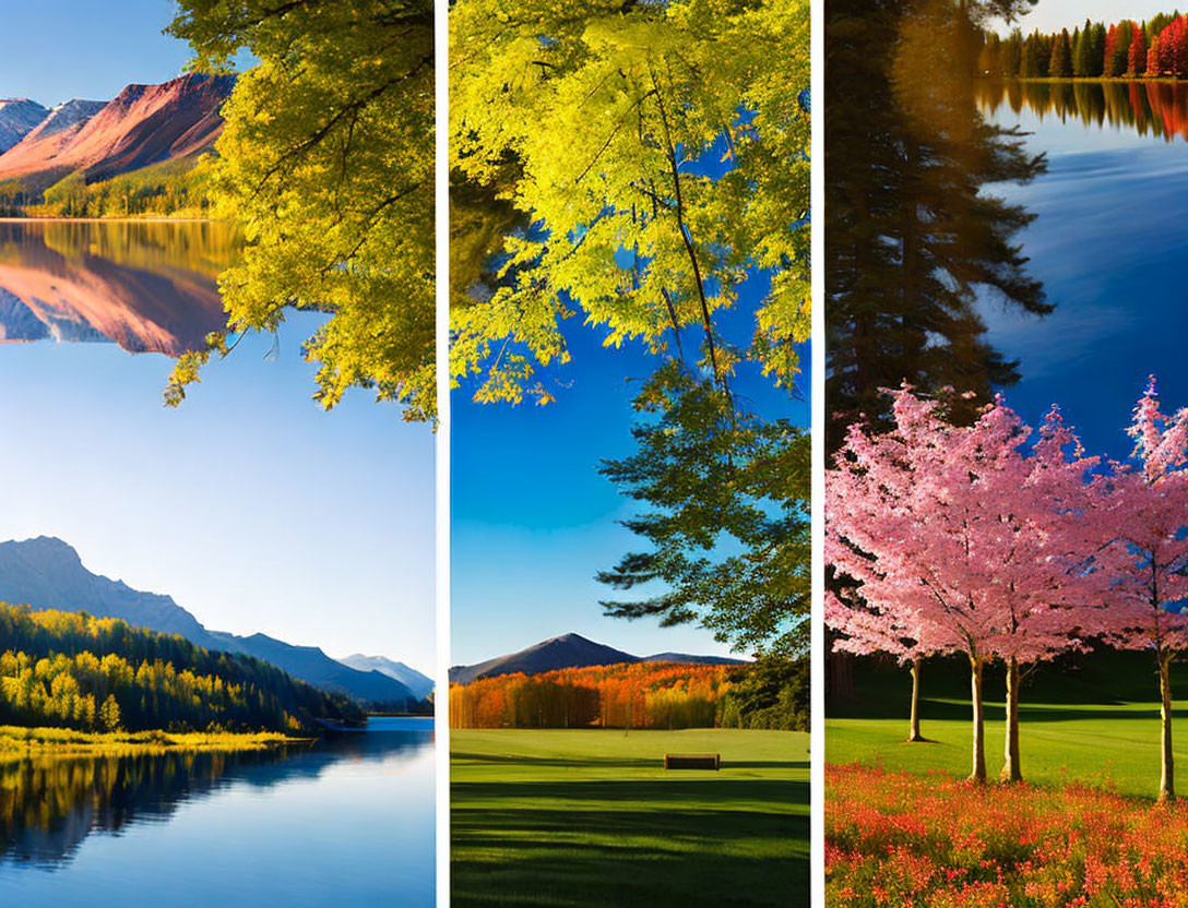 Seasonal landscapes triptych: autumn mountains, reflections, green foliage, cherry blossoms by lake