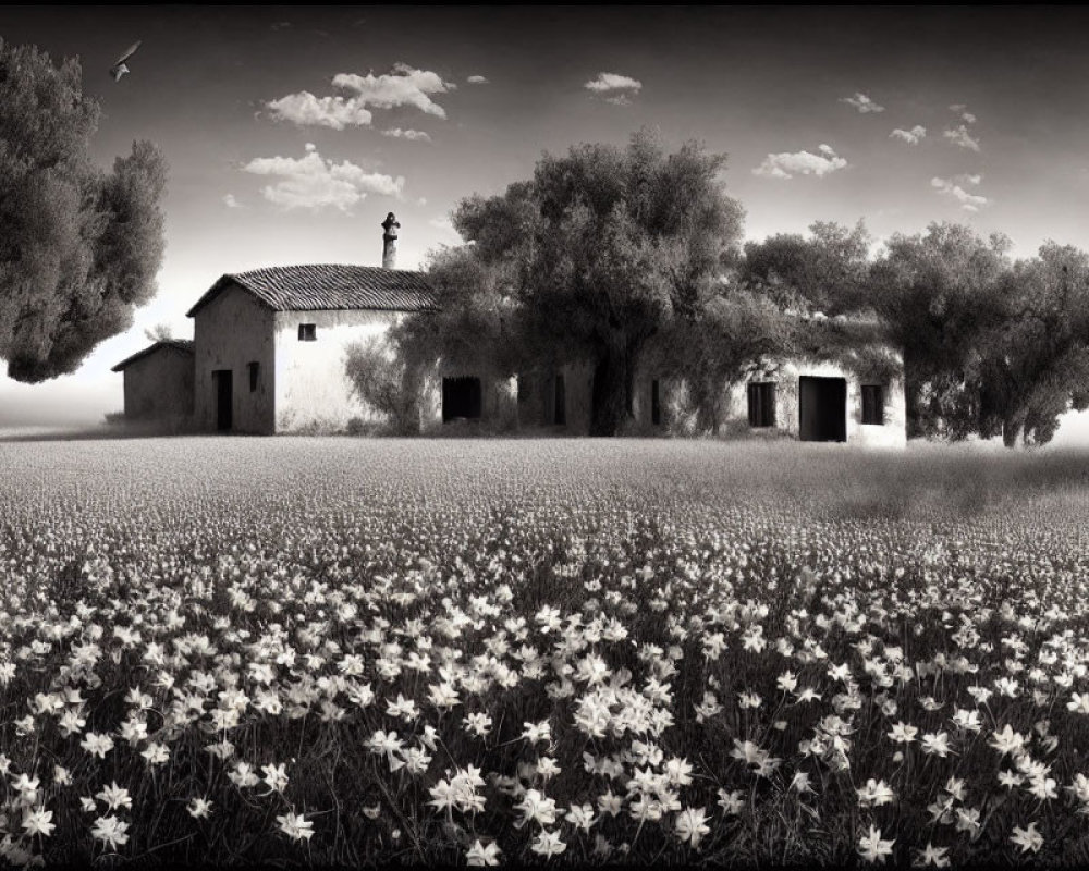 Serene countryside panorama with old house, trees, and flowers