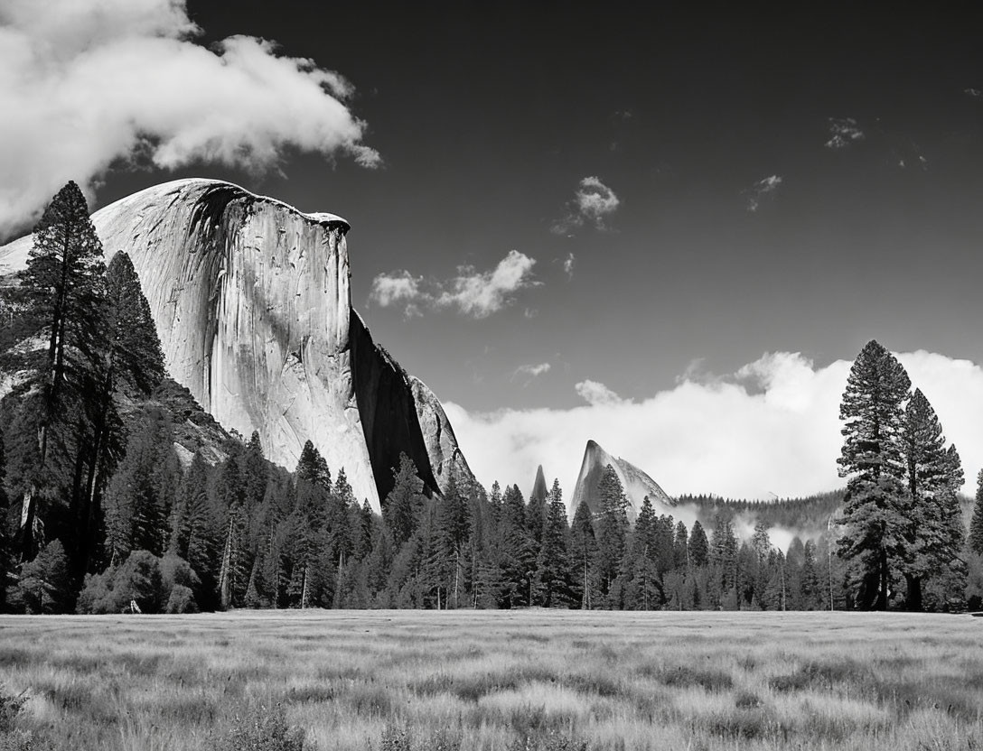 Monochrome photo of Half Dome and trees in Yosemite National Park