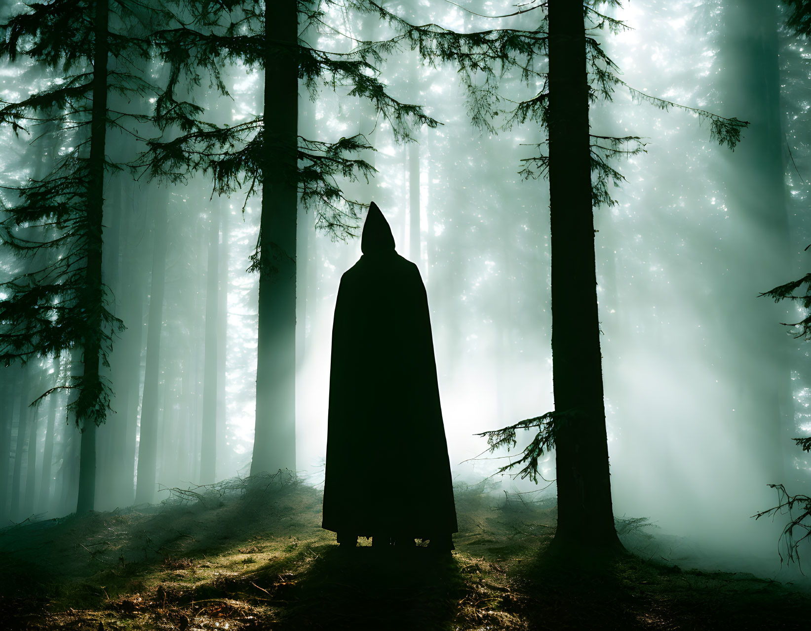 Cloaked figure in misty forest with sunlight filtering through tall trees