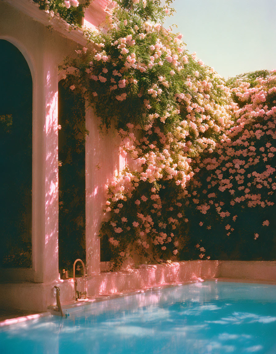 Tranquil Swimming Pool with Pink Flowering Vines