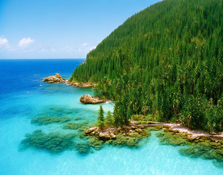 Lush green forest and turquoise water on rocky coastline