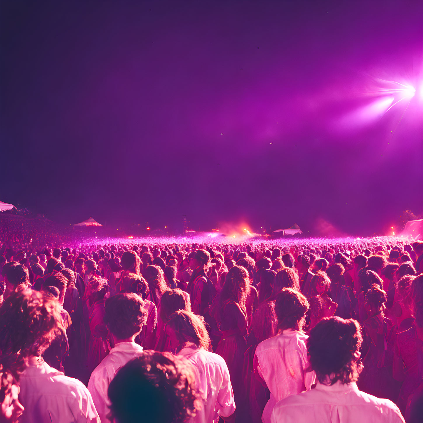 Colorful Night Event Crowd under Purple and Pink Lights