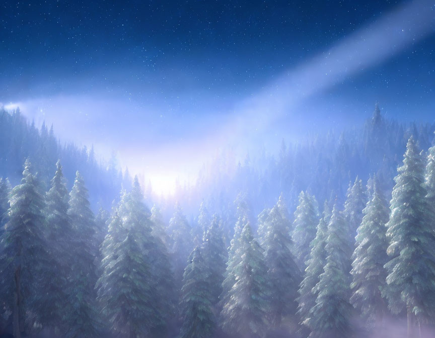 Snowy forest under starry night sky with light beam illuminating trees