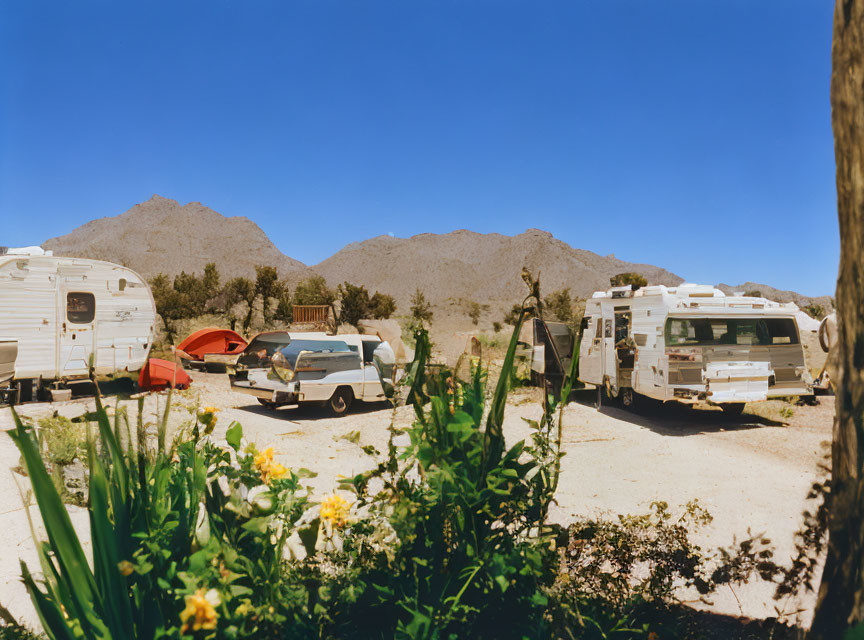 Scenic campsite with RVs, tent, car, mountains, cacti, and wild