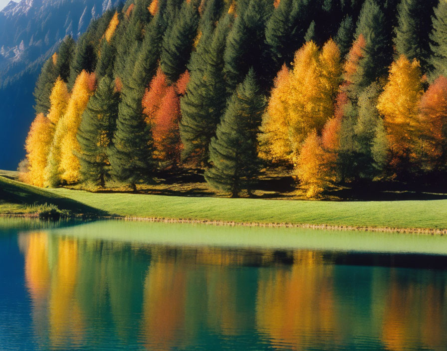 Tranquil lake reflects lush autumn trees and vibrant fall foliage