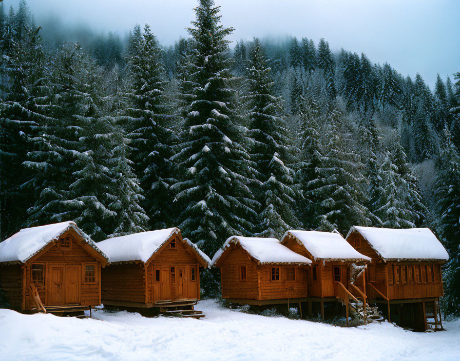 Snow-covered wooden cabins in misty mountain forest