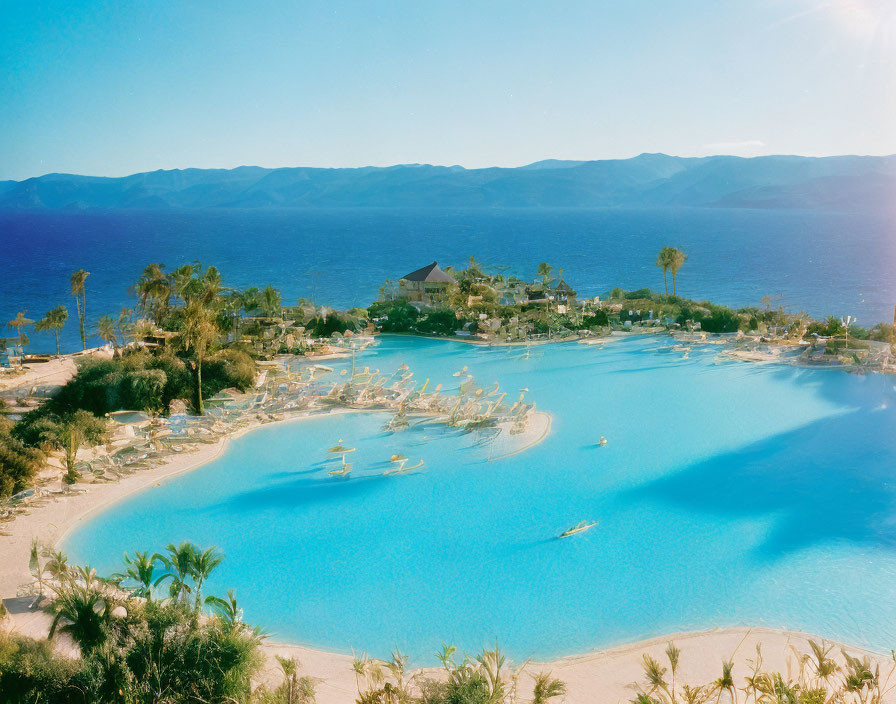 Tropical Resort with Pool, Palm Trees, Sun Loungers & Sea View