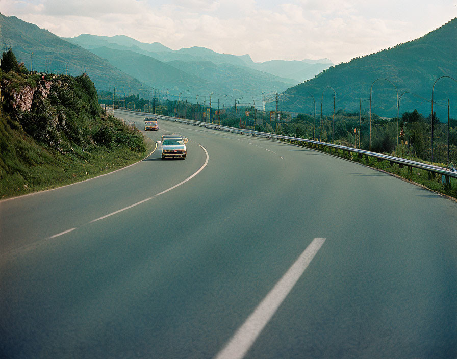 'elefante in autostrada