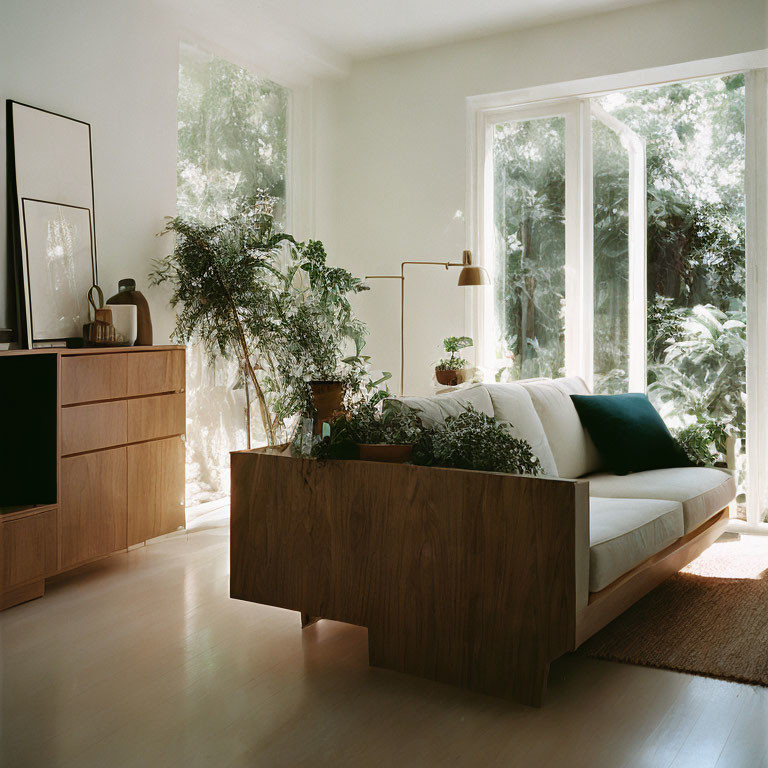 Sunlit Cozy Room with Large Windows and Indoor Plants