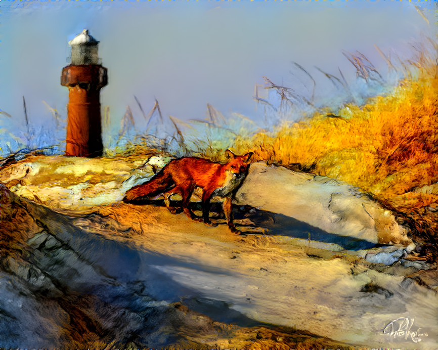 Fox on the Dune