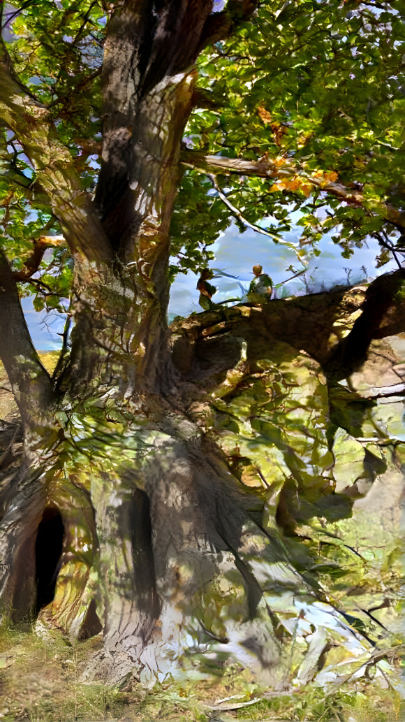 The big cottonwood in the ravine