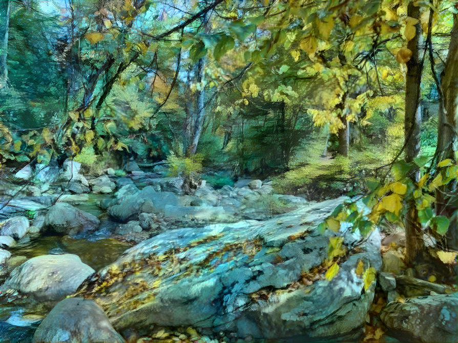 woodland stream