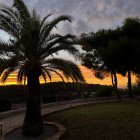 Colorful digital artwork: palm trees, abstract sky, reflective water, city silhouette