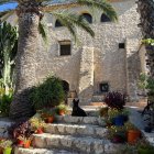 Stone staircase with flowering plants leads to white house with blue shutters