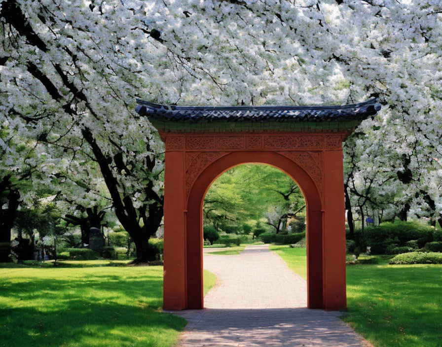 Red archway and cherry blossom trees in serene park setting