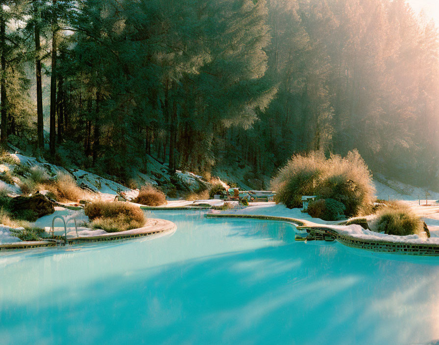 Snow-dusted evergreen trees surround azure outdoor pool in soft sunlight