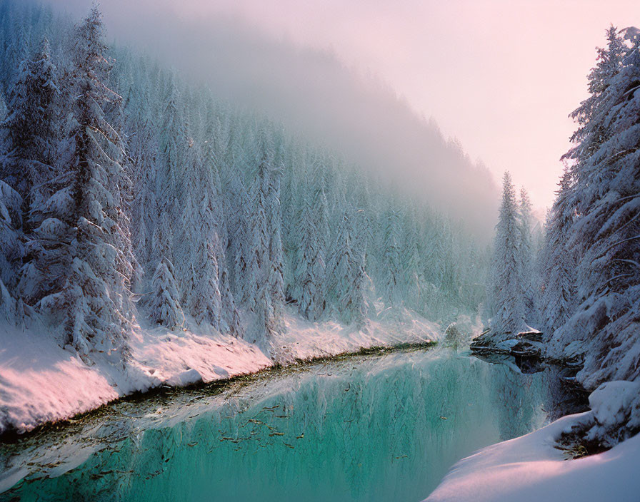 Snow-covered trees and turquoise river in serene winter scene