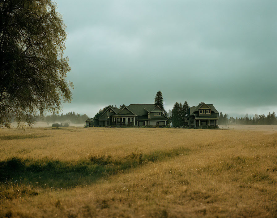 Tranquil rural landscape with houses, golden field, hazy skies, lone tree