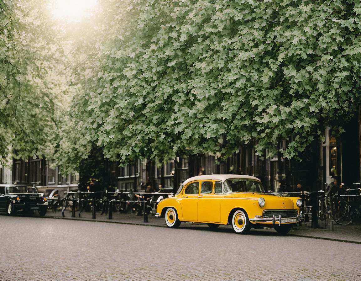 Vintage Yellow Car on Cobbled Street with Green Trees and Bicycles