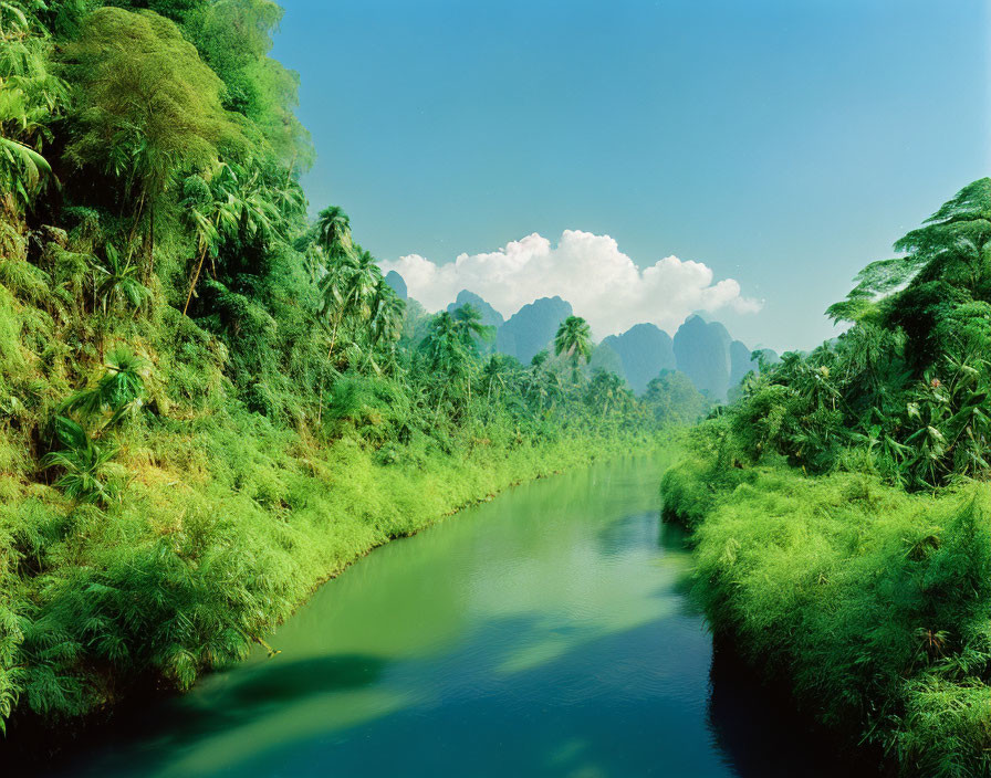 Tranquil river in lush tropical forest with karst limestone formations