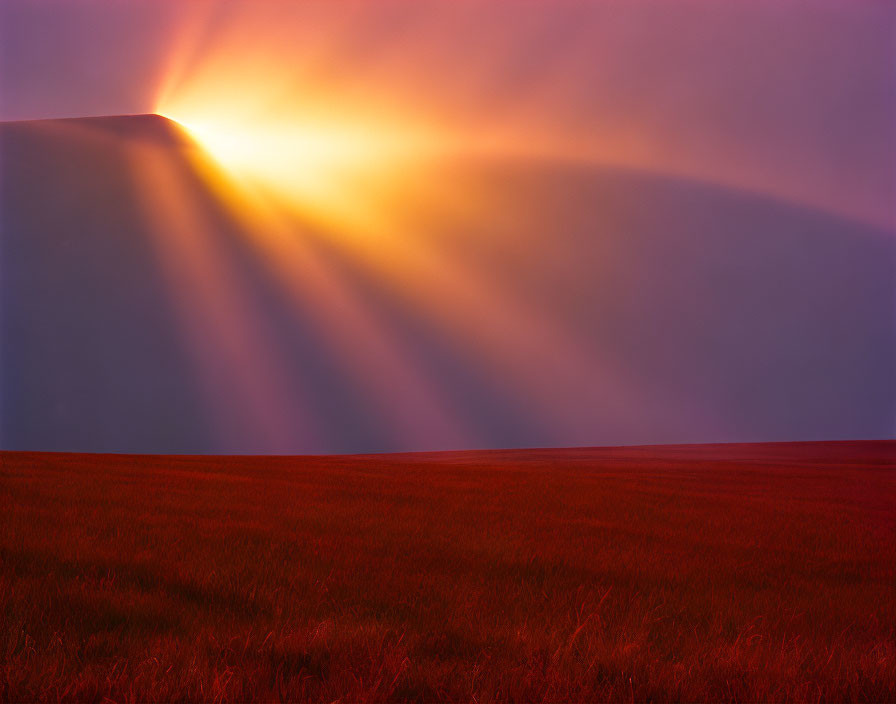 Vivid sunset with sunbeams over red field