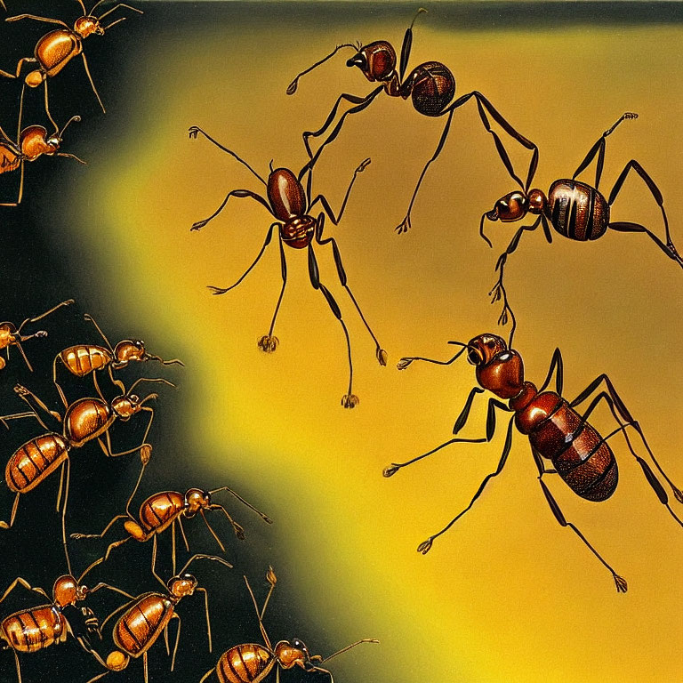 Detailed Ant Anatomy and Social Interaction on Yellow Gradient Background