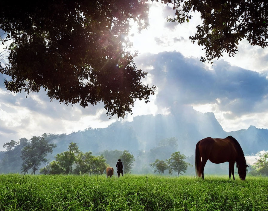 Tranquil landscape with grazing horses, walking person, lush trees, and sunlit mountains.