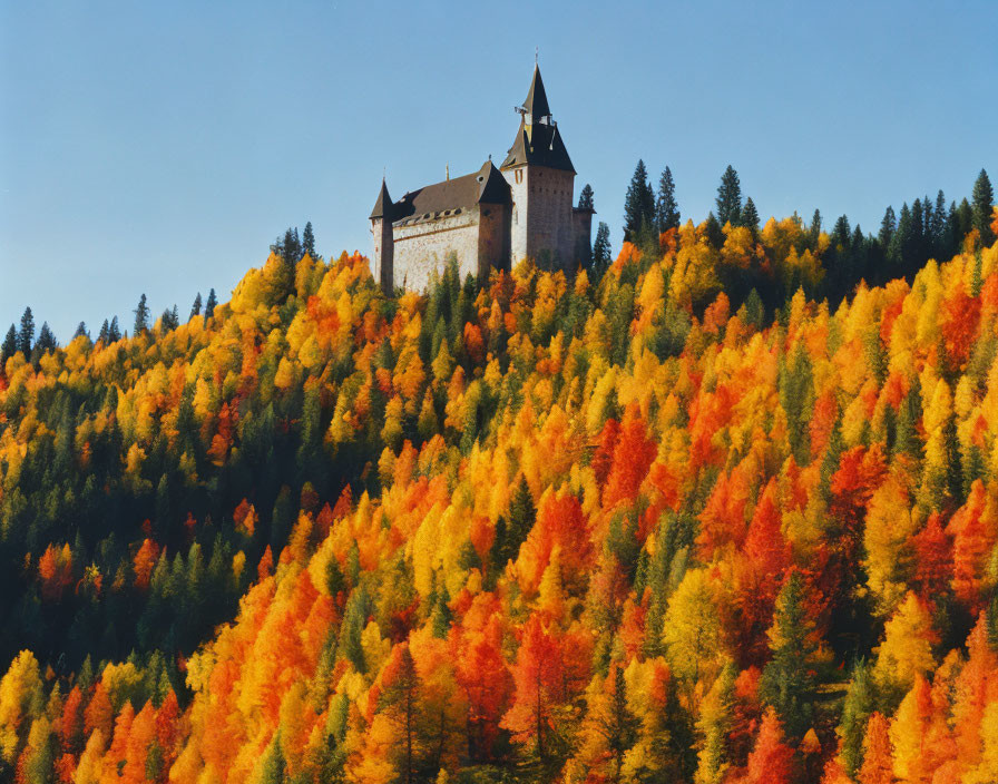 Medieval castle on hill surrounded by vibrant autumn forest.