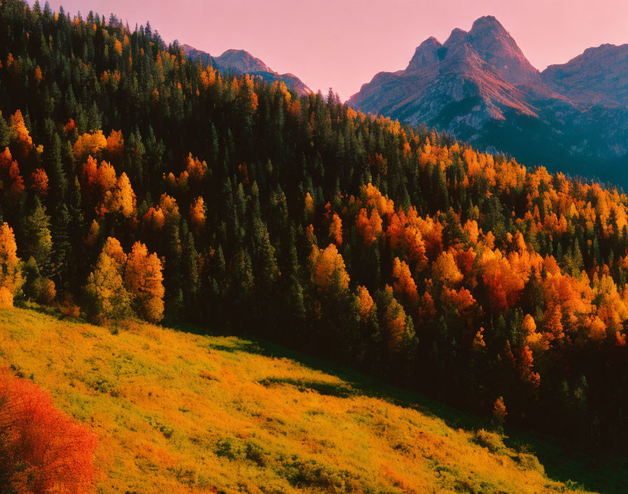 Colorful autumn foliage in mountain landscape at sunset