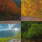 Misty River with Colorful Autumn Trees