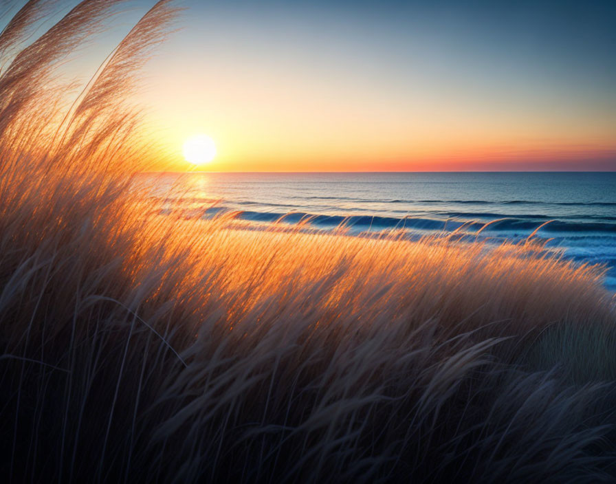 Scenic sunset ocean view with tall grasses and gradient sky