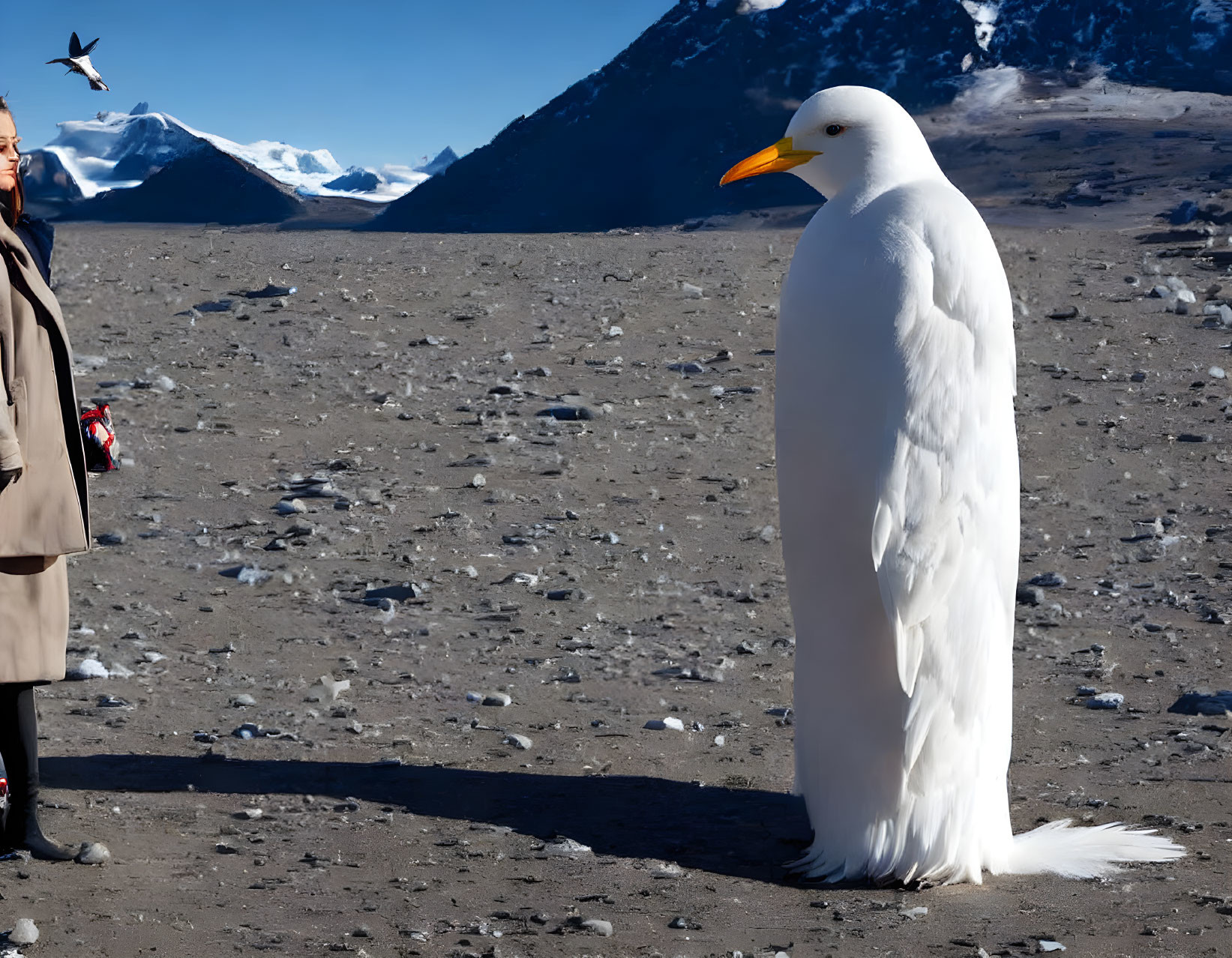 Person standing next to white-feathered bird in snowy mountain landscape