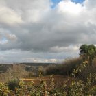 Rustic house in rolling hills under dramatic sky - serene rural landscape