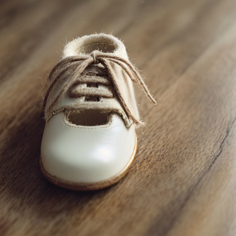 Small Worn Baby Shoe with Untied Laces on Wooden Floor