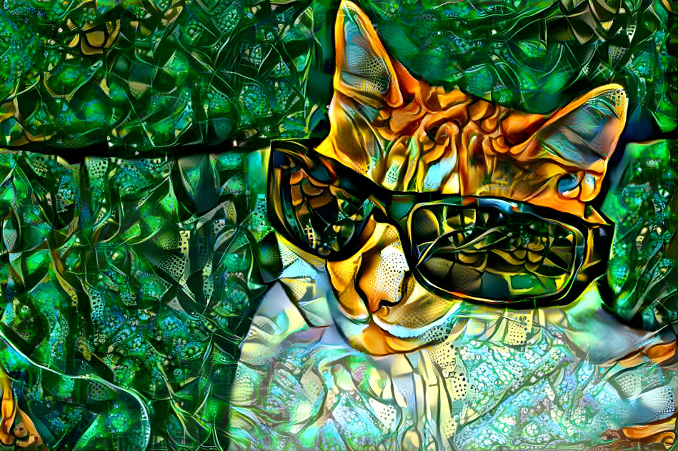 cool cat 