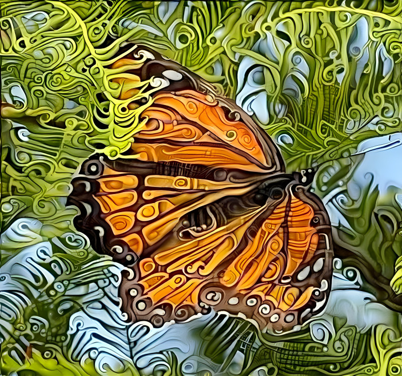 Windy Butterfly